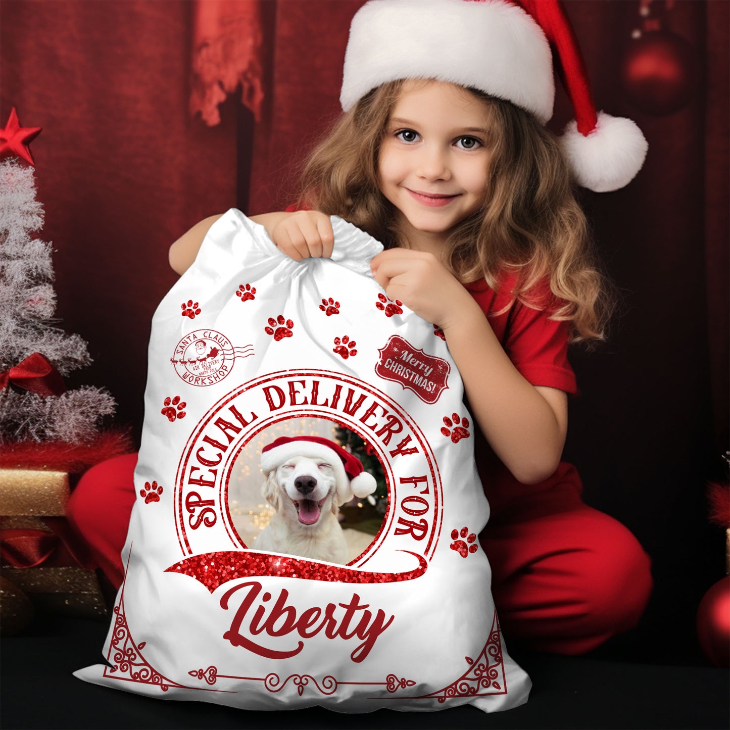 Merry Christmas Treats Bag Custom Photo - Christmas Gift For Dog Lovers - Personalized Christmas Sack - Custom Christmas Bag