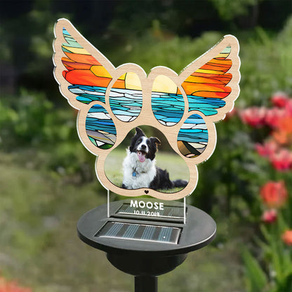 Paw Prints On My Heart - You Were My Favorite Hello - Personalized Photo Solar Light