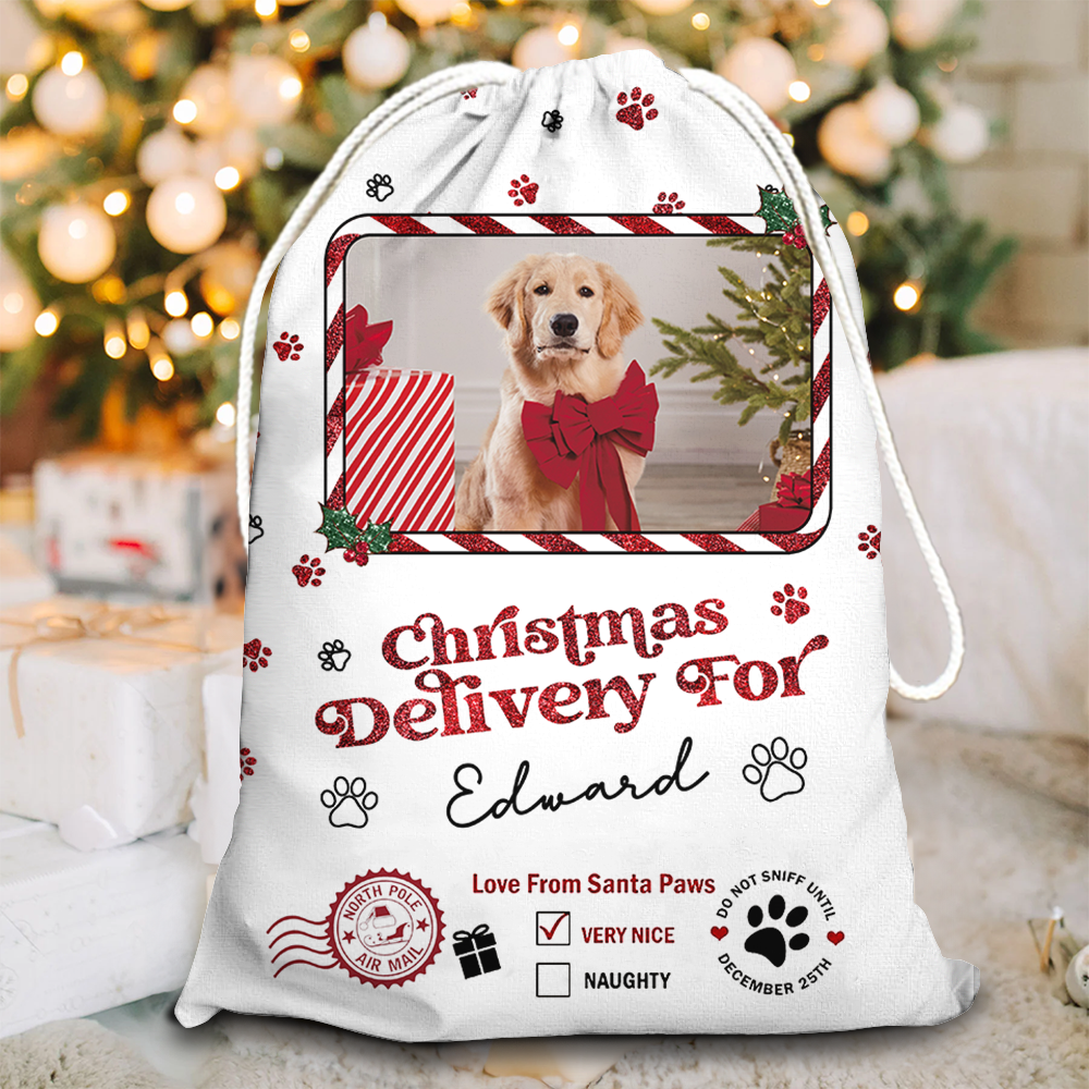 Special Delivery Photo Glitter Christmas Bag - Christmas Gift For Dog Lovers Cat Lovers - Personalized Christmas Sack - Custom Christmas Bag