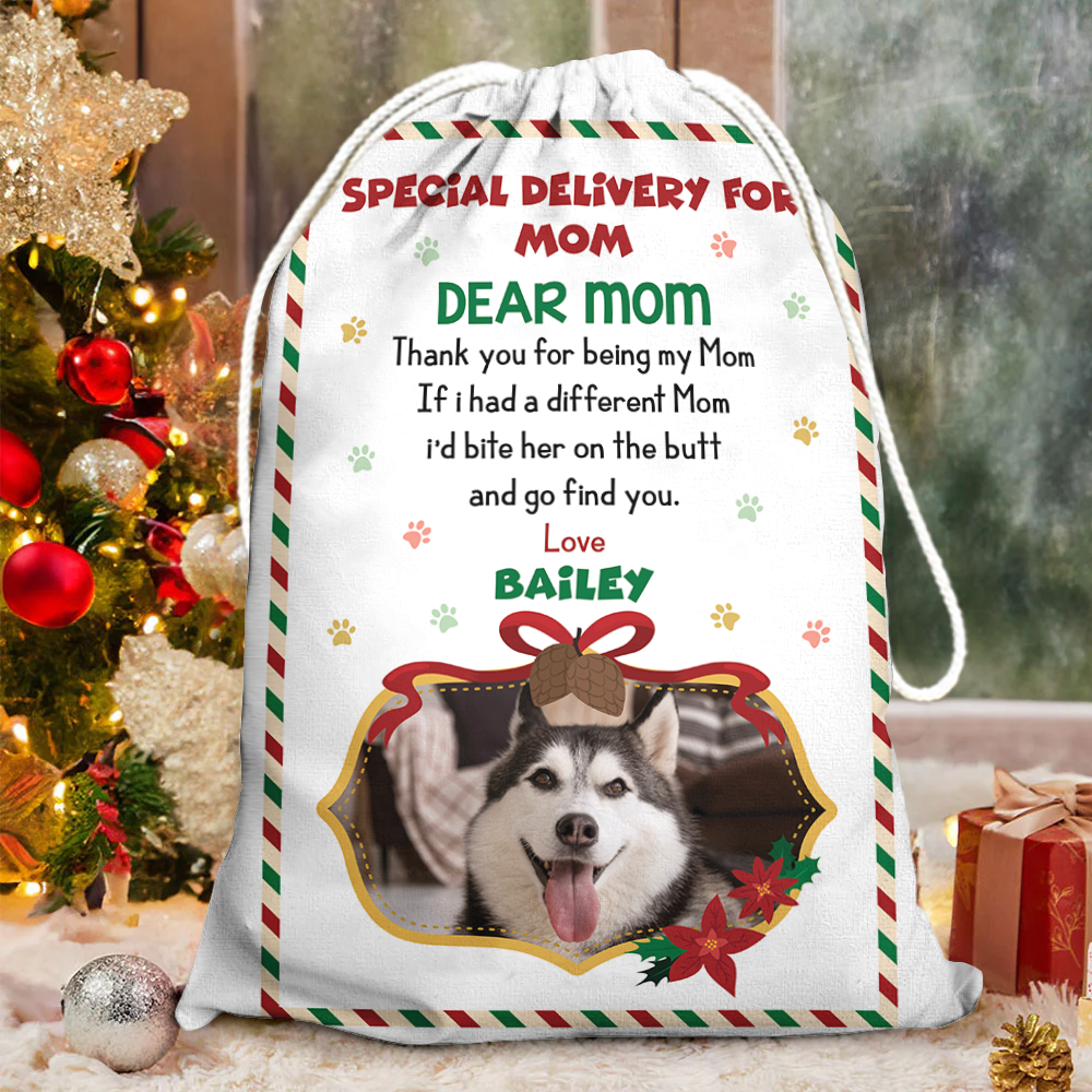 Cat Lovers Dog Lovers Custom Photo Bag - Christmas Gifts - Personalized Christmas Sack - Custom Christmas Bag